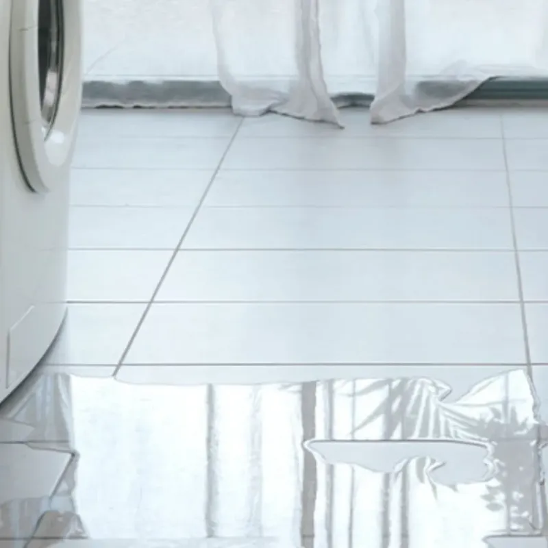 Appliance Leak Cleanup in Virginia, IL