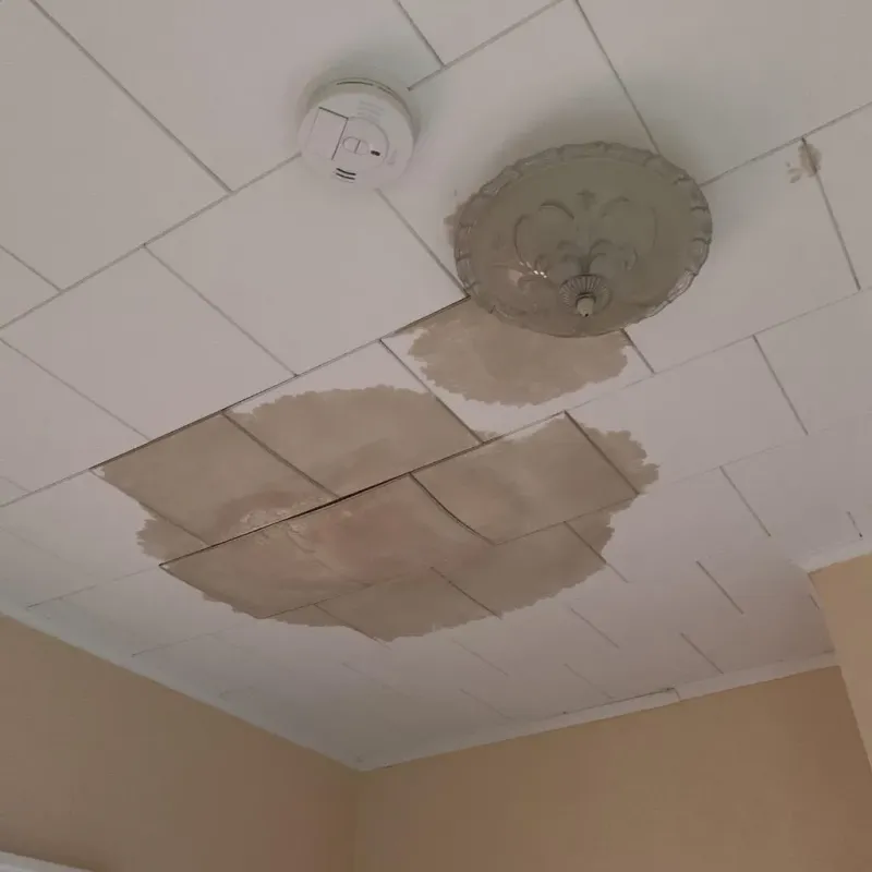 Ceiling Water Damage Repair in Virginia, IL
