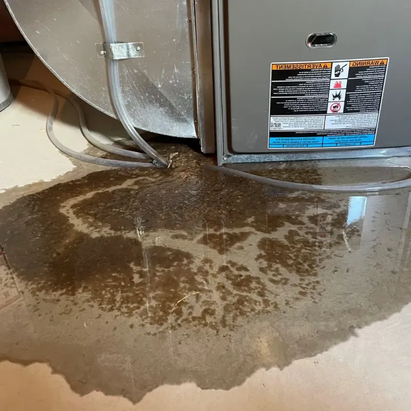 Pipe Burst and Leak Restoration in Virginia, IL