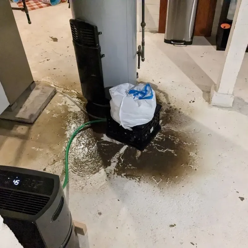 Sewage Backup Cleanup Service in Virginia, IL